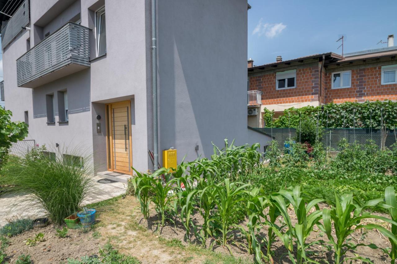 Pomodoro Rooms Zagreb Exterior photo