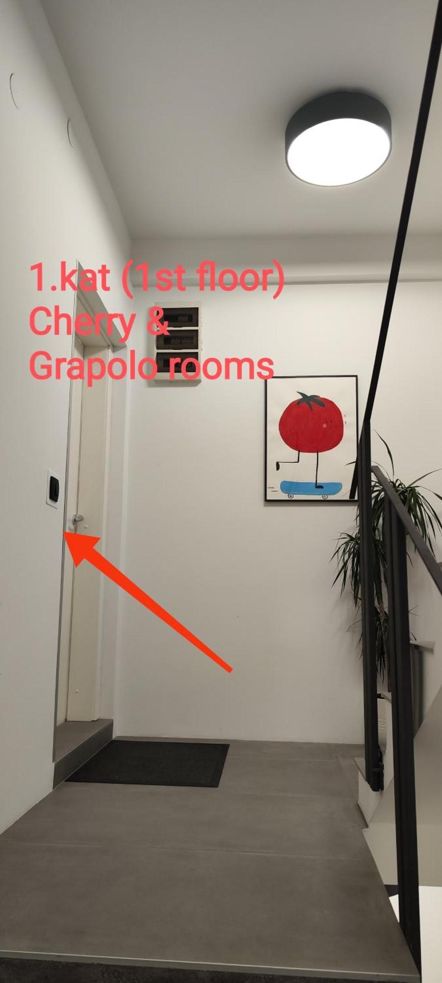 Pomodoro Rooms Zagreb Exterior photo